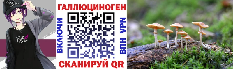OMG маркетплейс  Южноуральск  Галлюциногенные грибы ЛСД  купить наркотики сайты 
